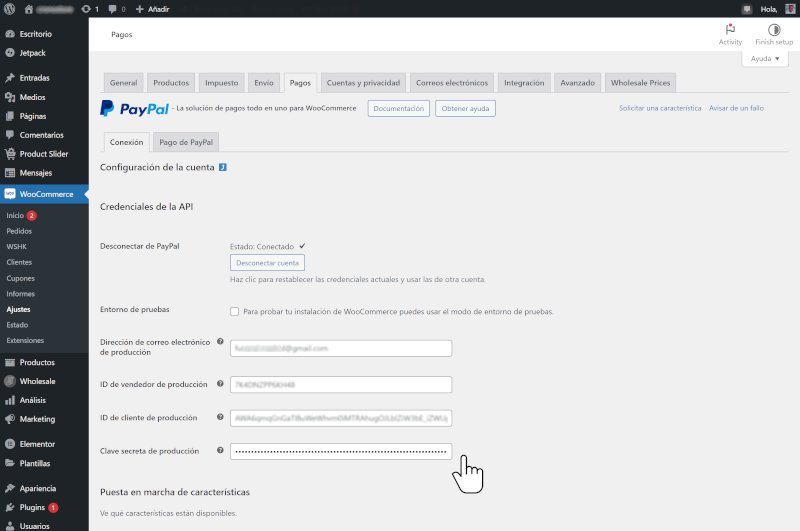 Cómo configurar PayPal en WooCommerce 6